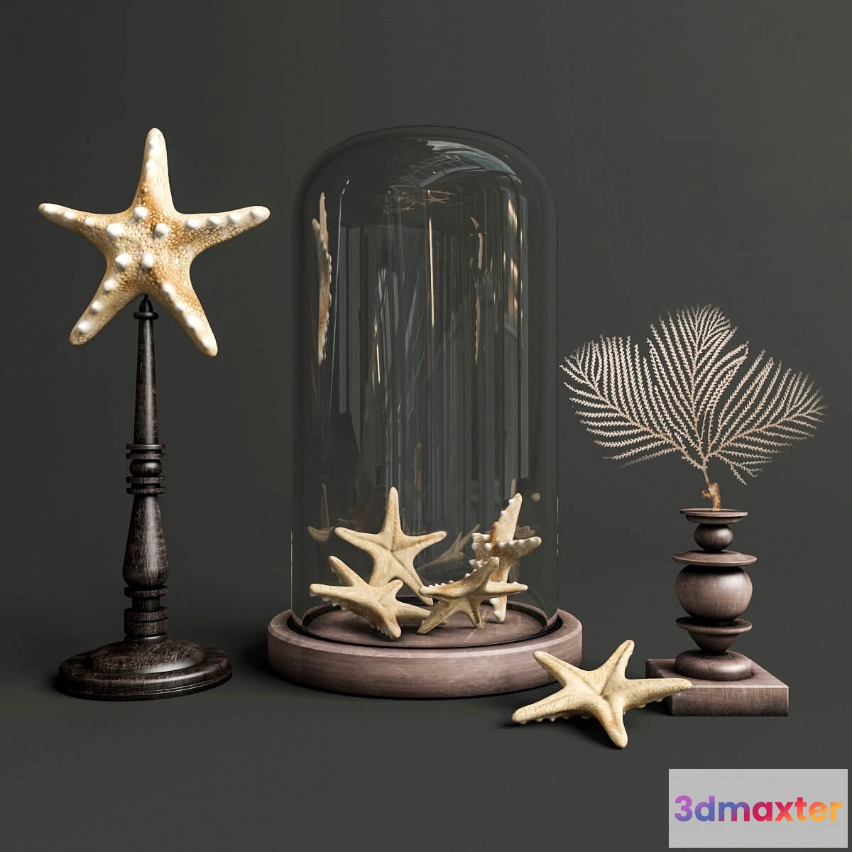 1598690 - decoration - Stunning red sea fan 3D Max