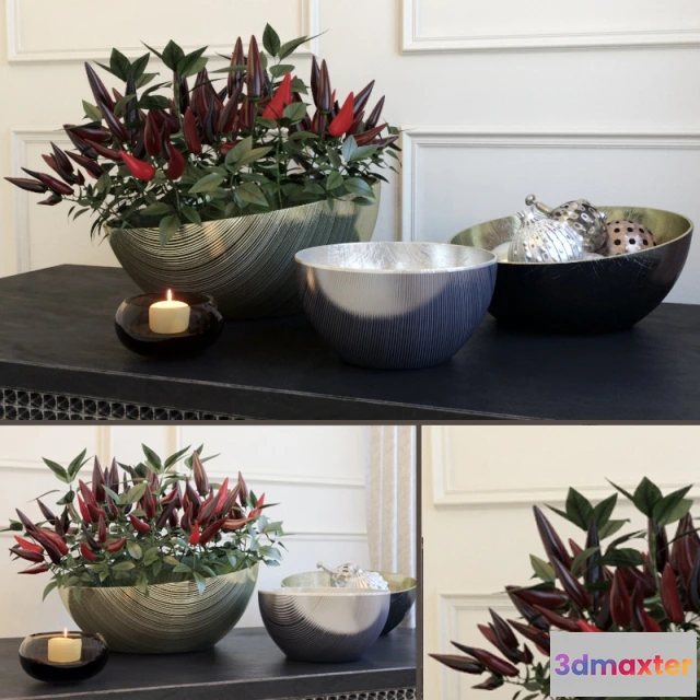 1598826 - decoration - Decorative set with peppers 3D Max