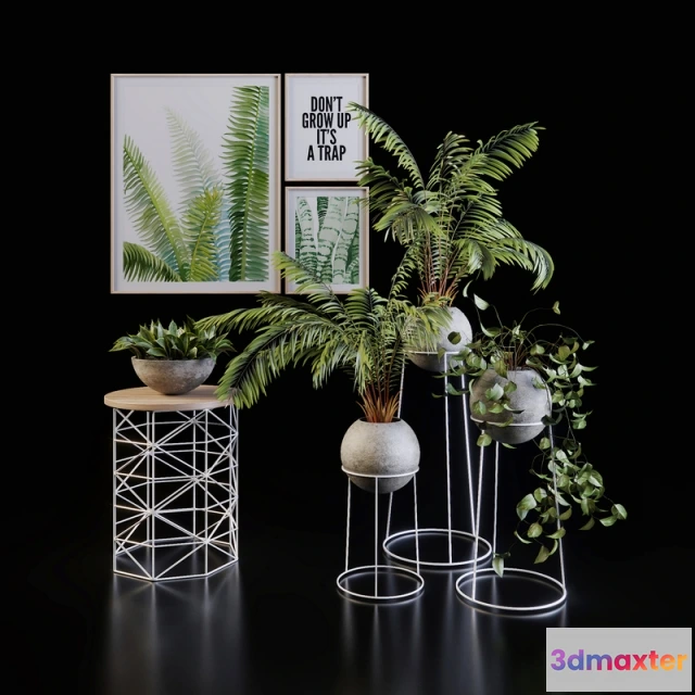 1598992 - decoration - Decorative set 3D Max