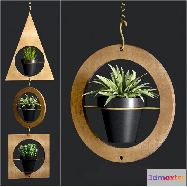 1599002 - decoration - Hanging Planter 3D Max