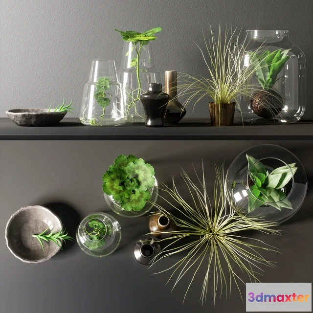 1599016 - decoration - Decorative set 3D Max