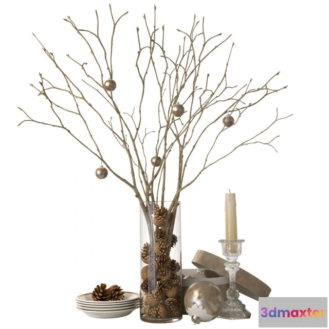 1599032 - decoration - cones and branches 3D Max