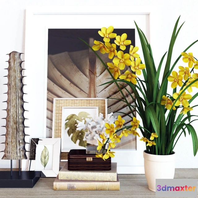 1599034 - decoration - Cymbidium Orchid 3D Max