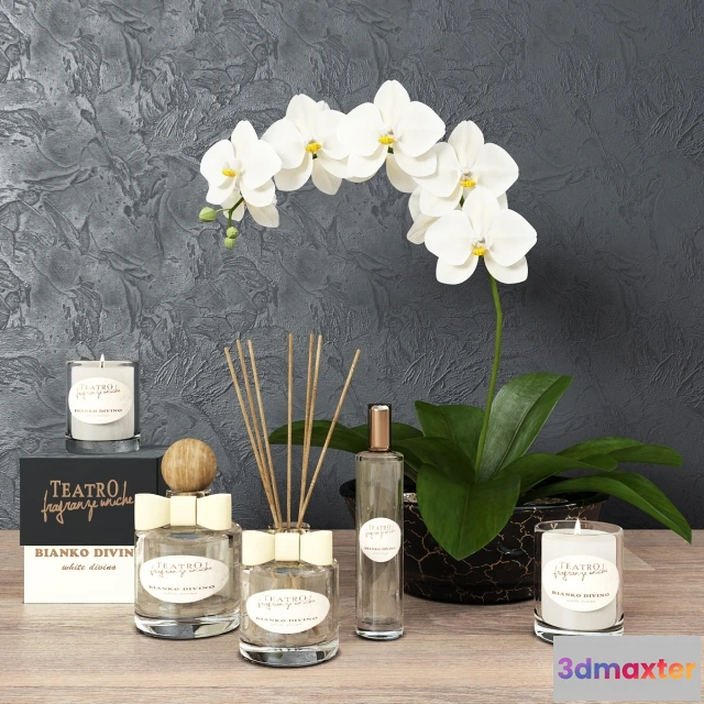 1599220 - decoration - Aromas house Teatro Fragranze 3D Max