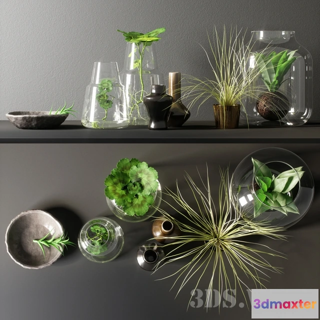 1599310 - decoration - Decorative set 3D Max