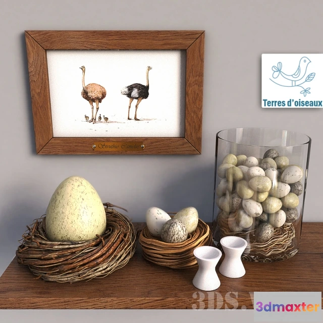 1599422 - decoration - Birds nest and eggs 3D Max