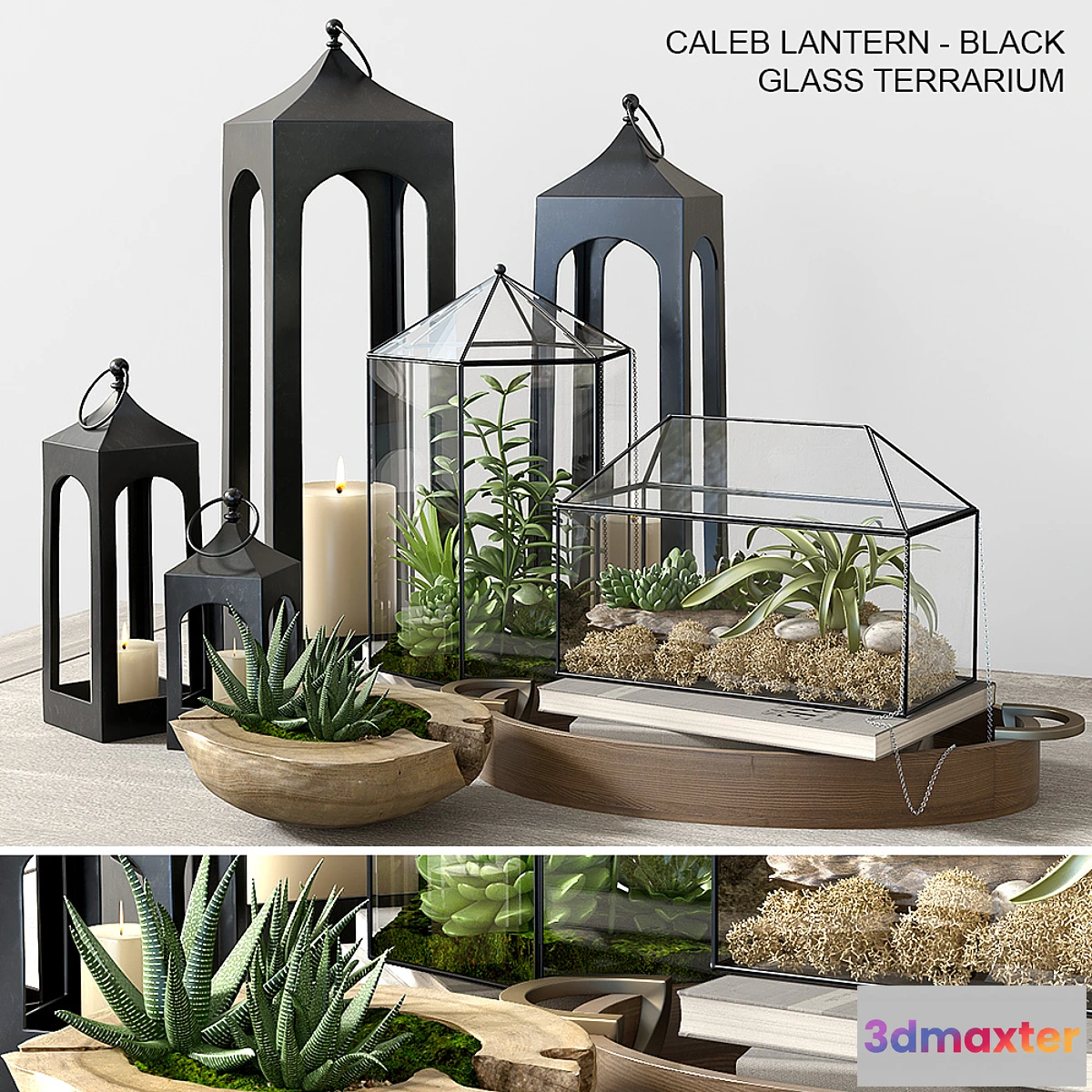 547637 - Pottery barn GLASS TERRARIUM