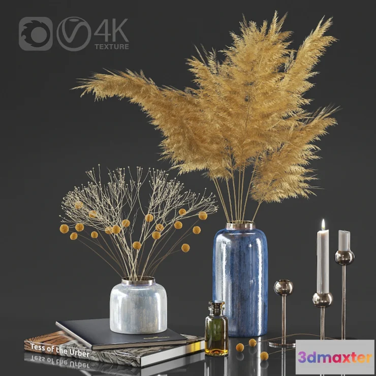 548297 - Dry plant decor set