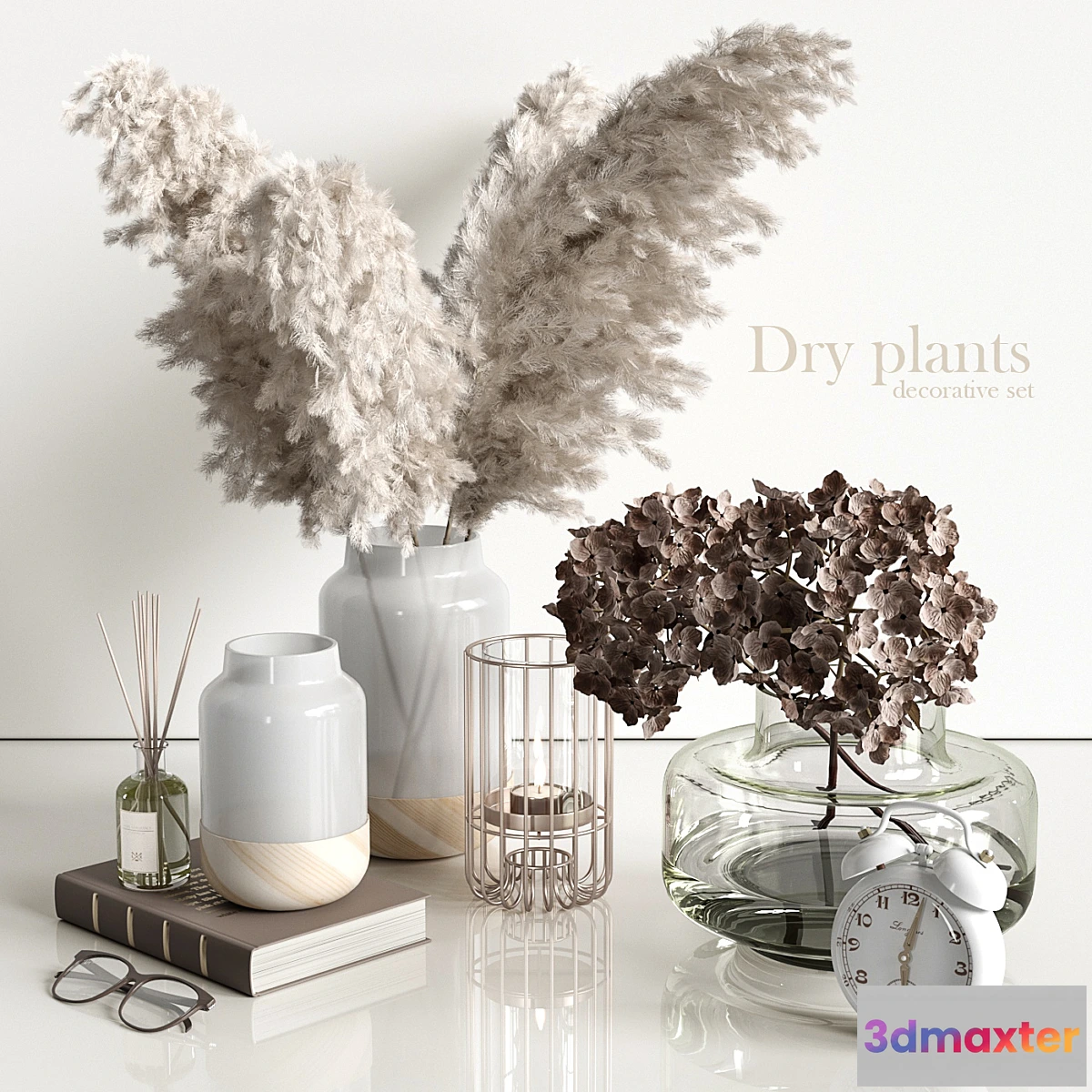 548843 - Decorative set with dry plants 4