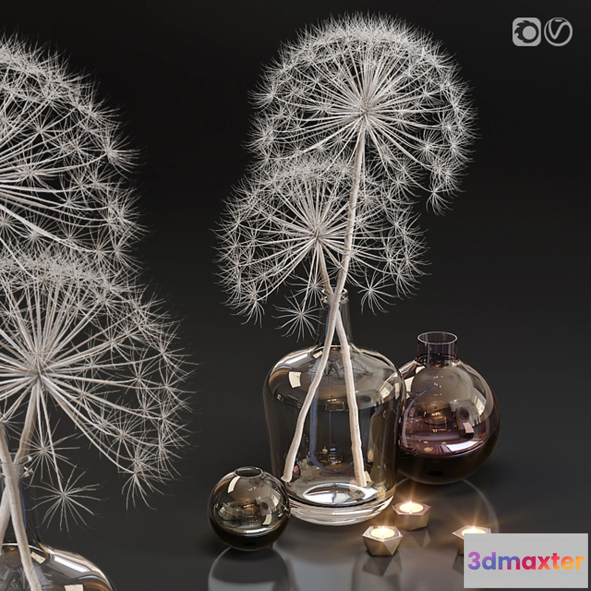 592528 - Decor set 13 Heracleum plant white