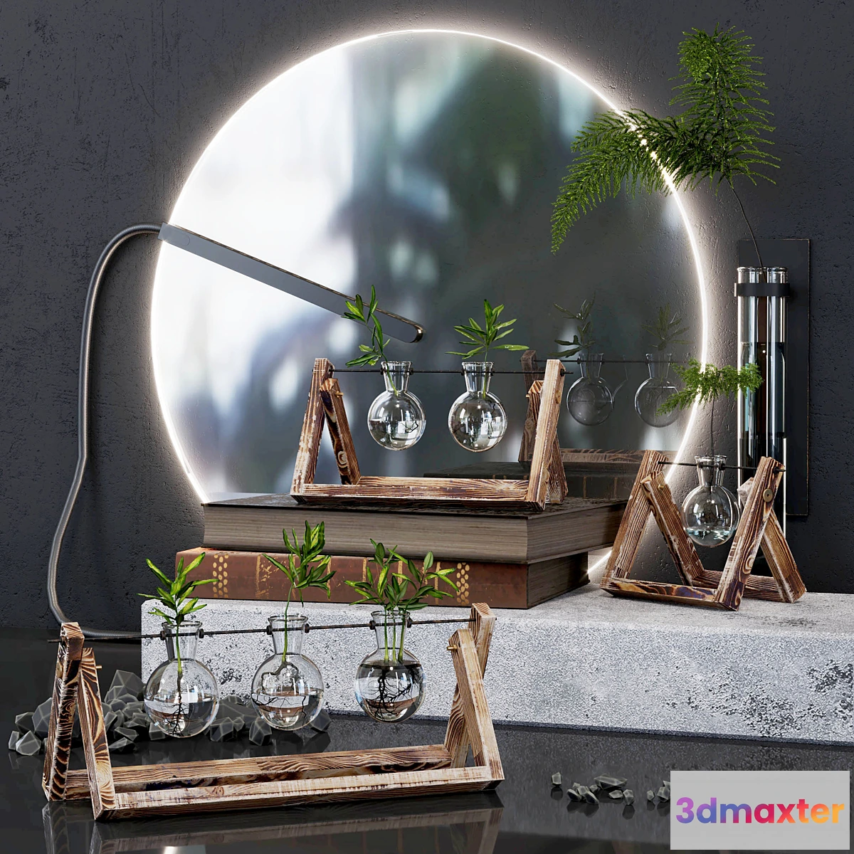 592560 - Glass modern terrarium