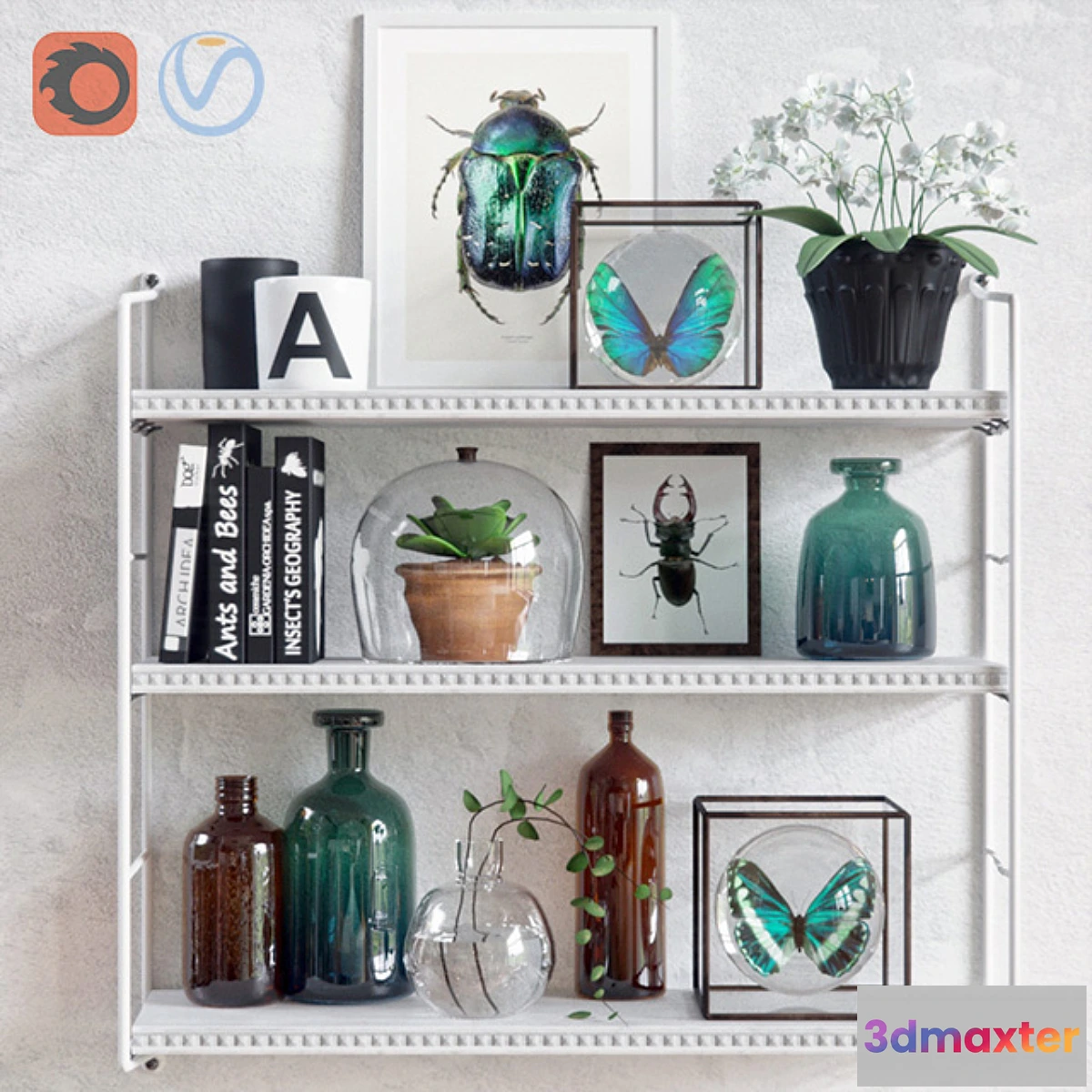 660911 - Insects - No.2