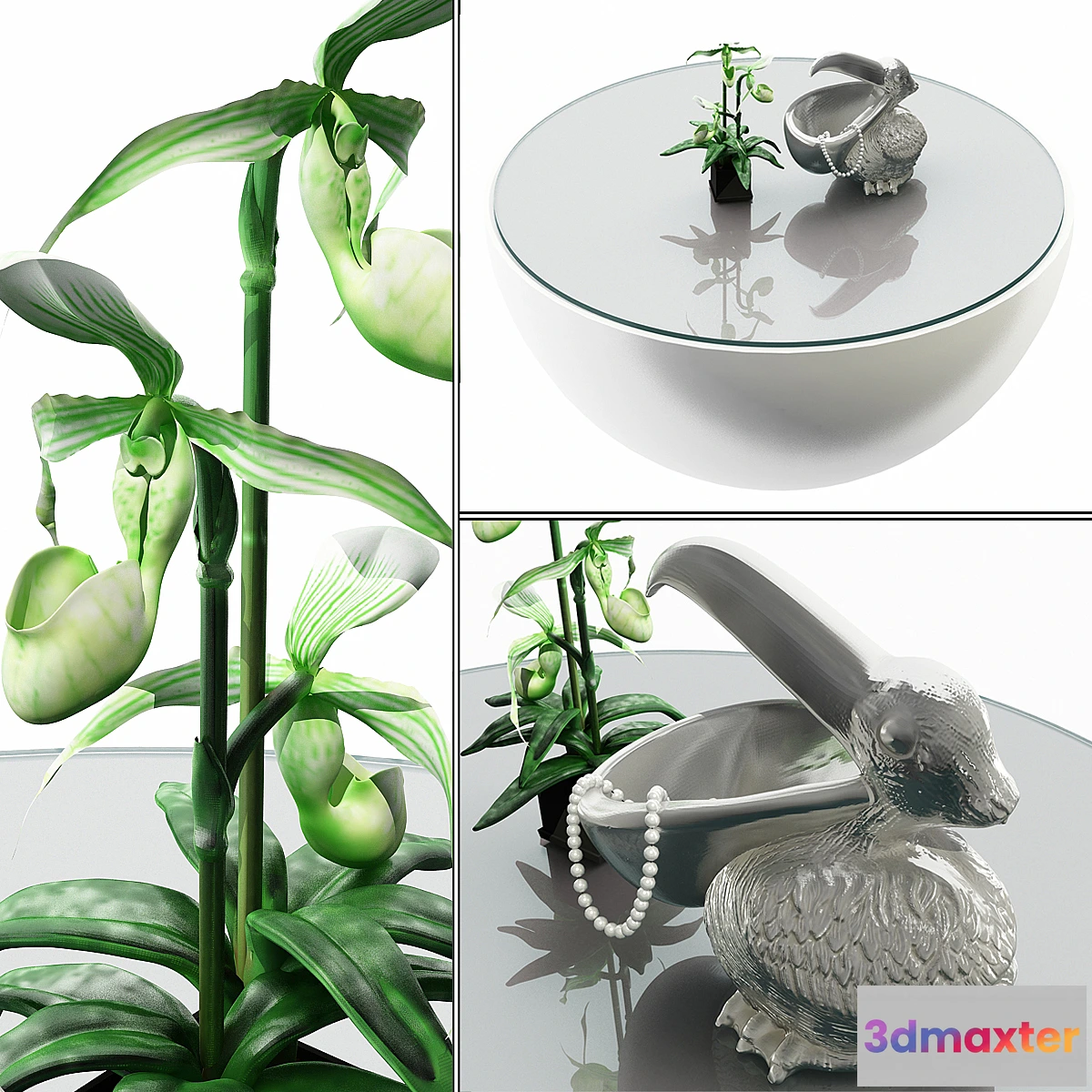 702174 - Pelican and orchids