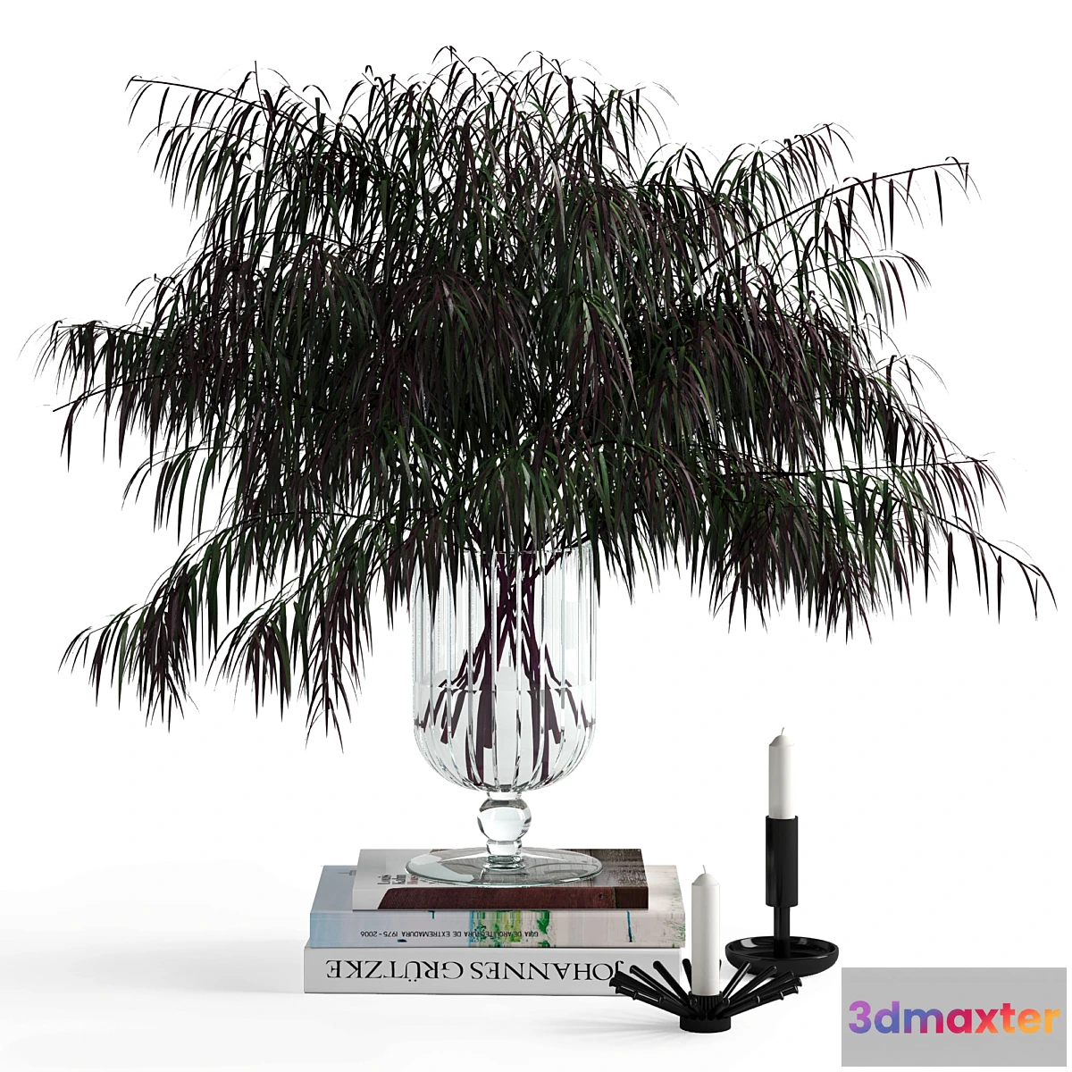 715764 - Agonis and candles - No.3