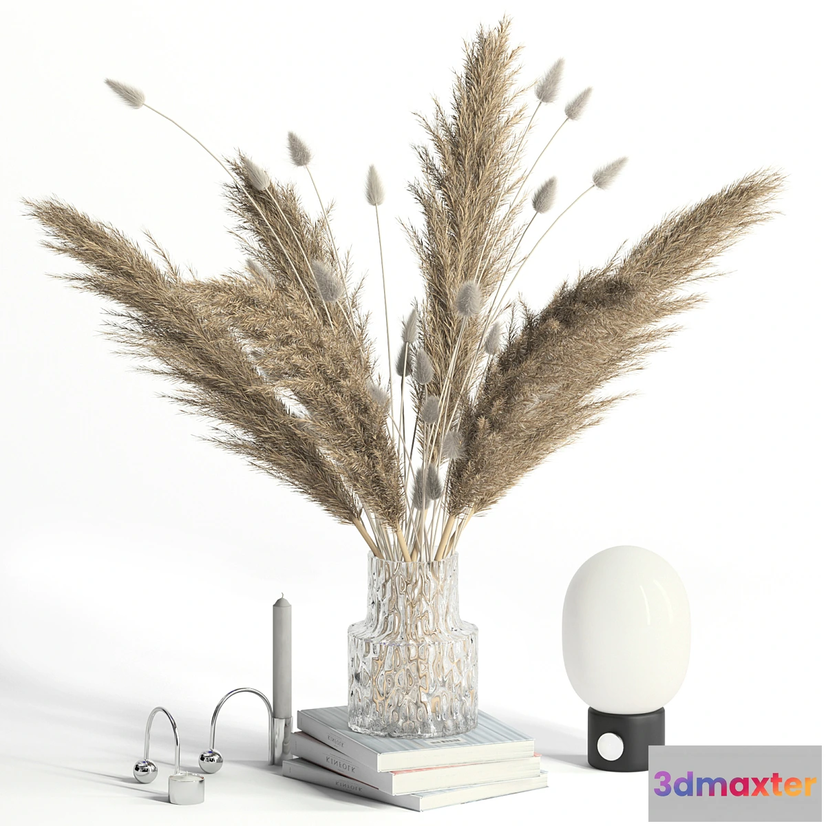 739537 - Lagurus pampas grass and Co - No.2