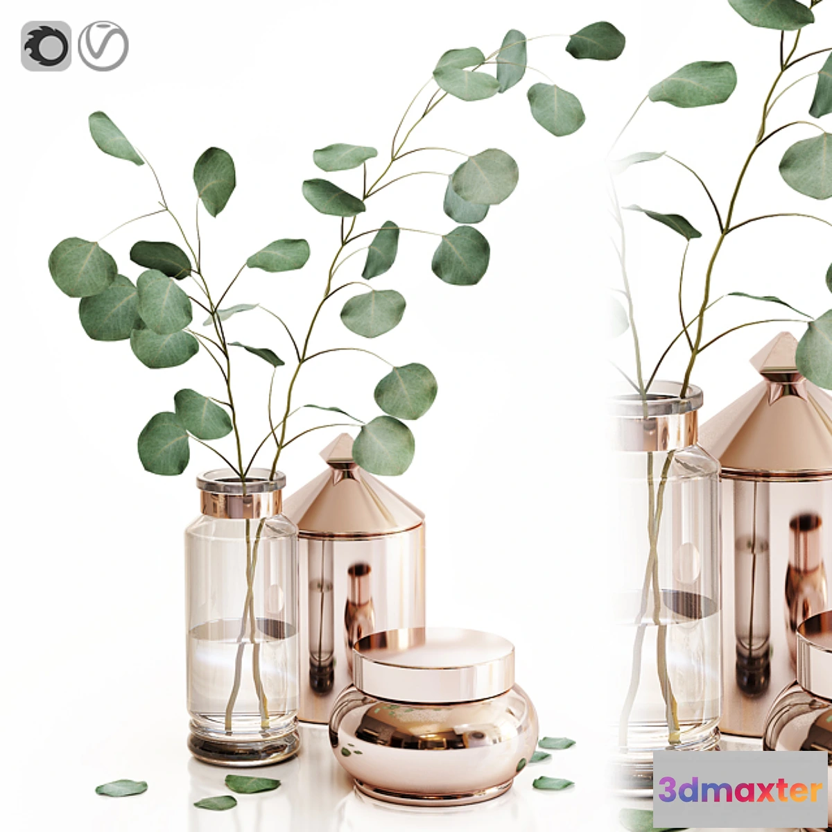 826924 - Eucalyptus 1 - No.3