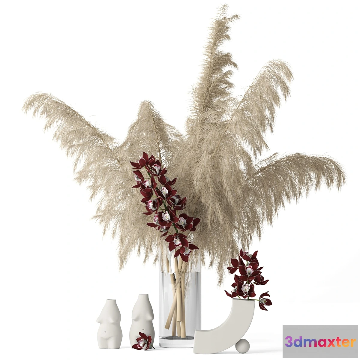 846785 - Pampas grass and Cymbidium - No.2