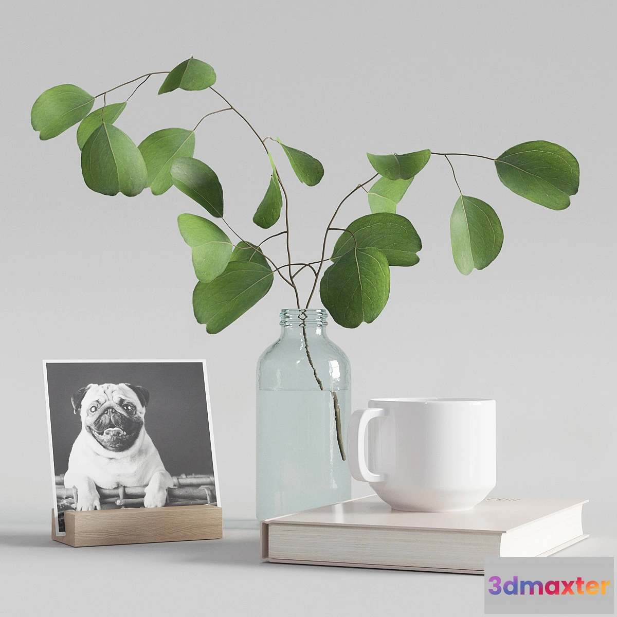 867213 - decorative set with eucalyptus branch 2 - No.4