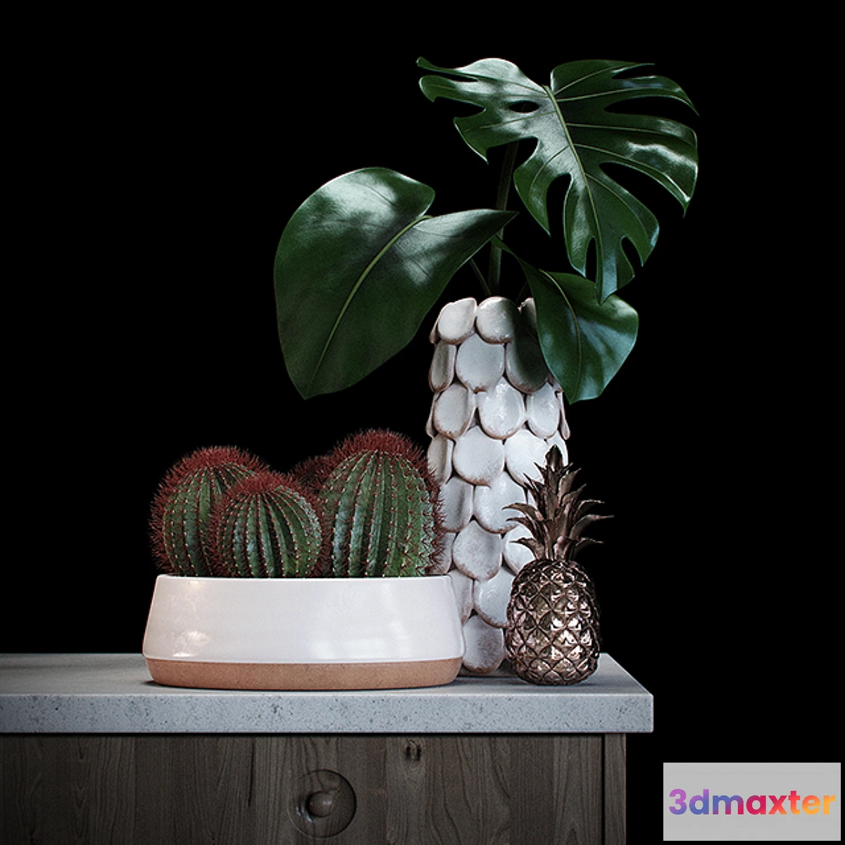 898262 - Set decoration with red cactus