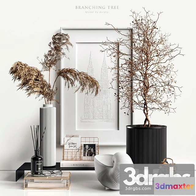 922380 - Branching Tree And Reed