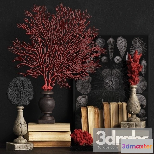 922478 - Coral Set 2