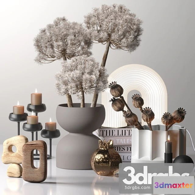 922568 - Decor Set 03 with fluffy dried flower