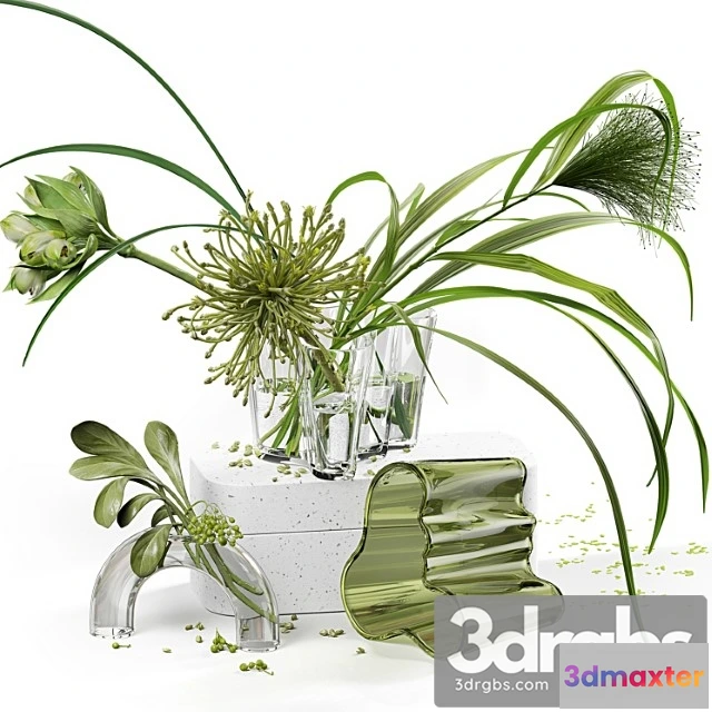 922586 - Decor Set 047 With Green Plants Alto Vase