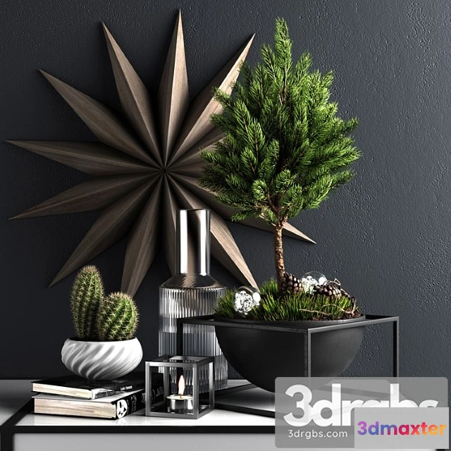 922852 - Decor set with pine tree
