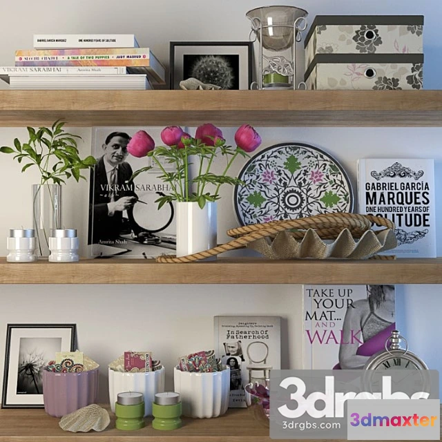 922906 - Decoration for shelves