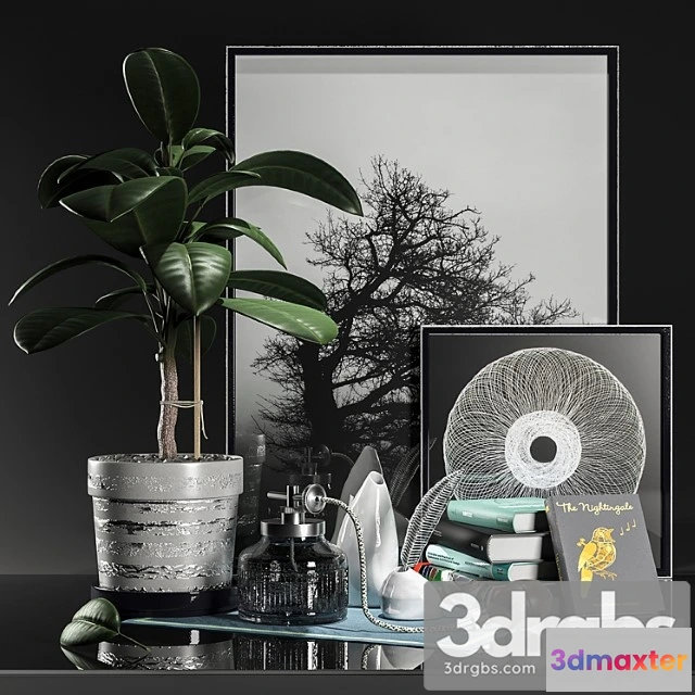 922972 - Decoration set with fikus