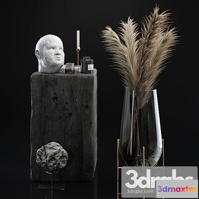 923790 - Decorative Set 5 With Dried Plants