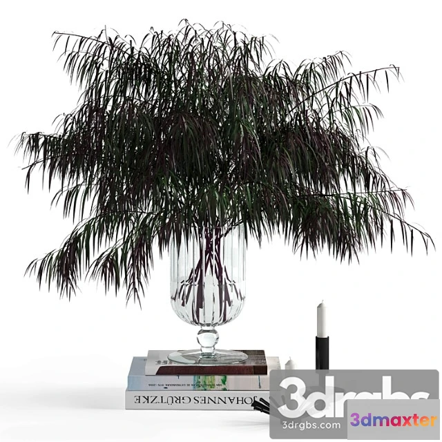 923946 - Decorative set Agonis and candles