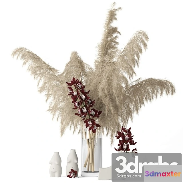 924476 - Decorative set Pampas grass and cymbidium