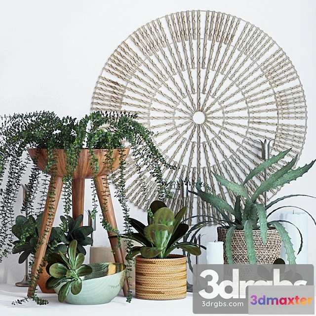 924492 - Decorative set Plant decor set - 1