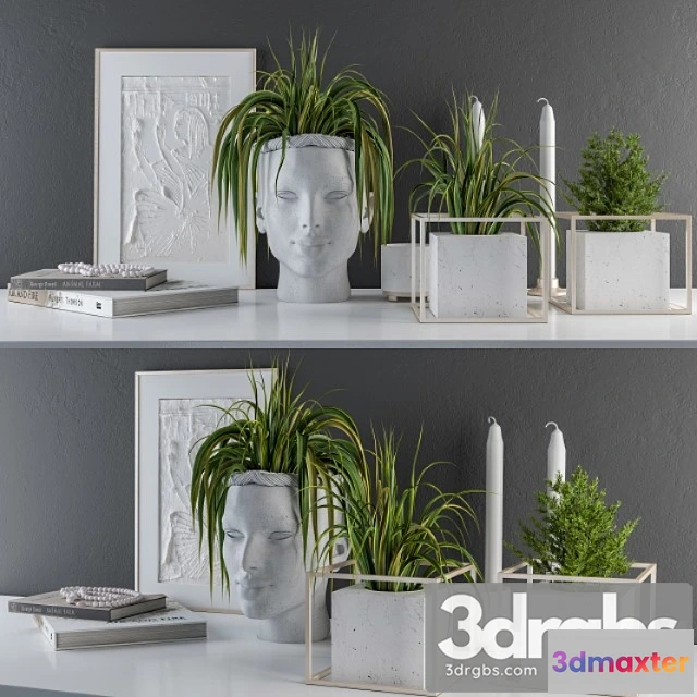 924546 - Decorative set sculpt pot and plants