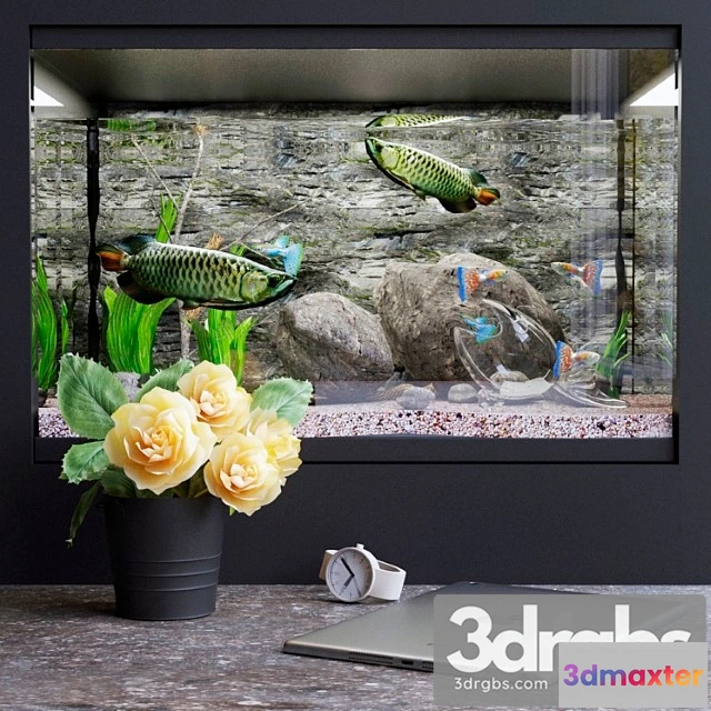 924720 - Decorative set with aquarium