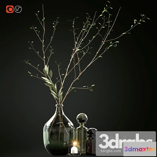924750 - Decorative set with branches and glass bottles