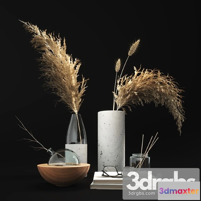 924792 - Decorative set with dry plants 01
