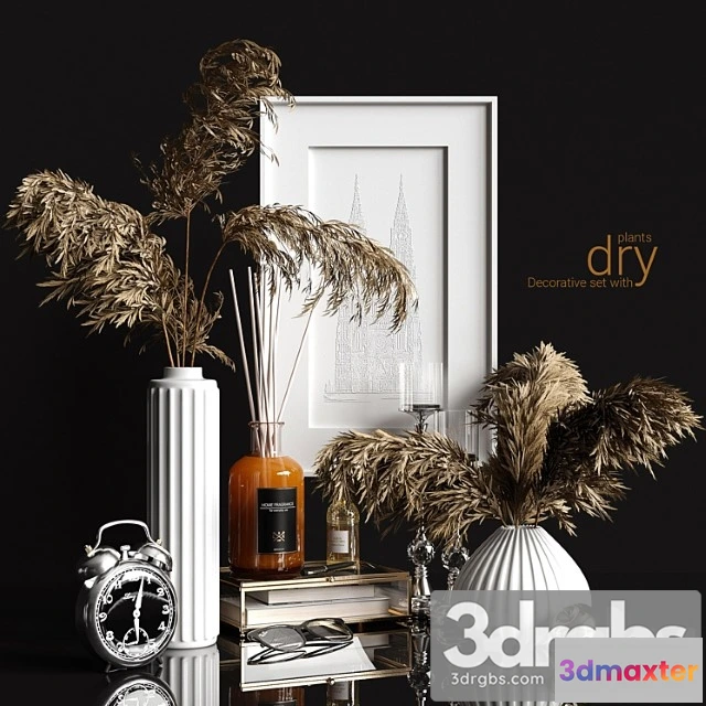 924794 - Decorative set with dry plants 2 2