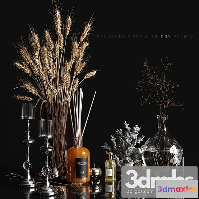 924796 - Decorative Set With Dry Plants 2