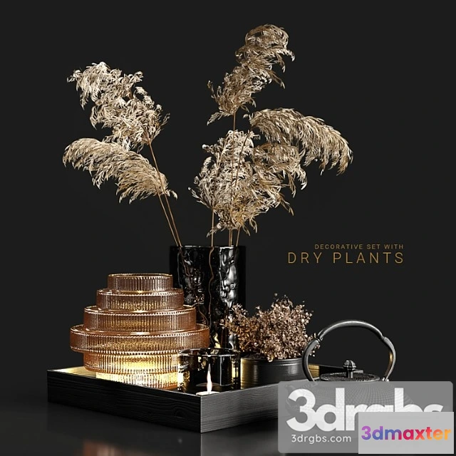 924798 - Decorative set with dry plants 3
