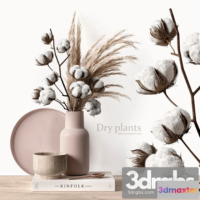 924800 - Decorative set with dry plants 5