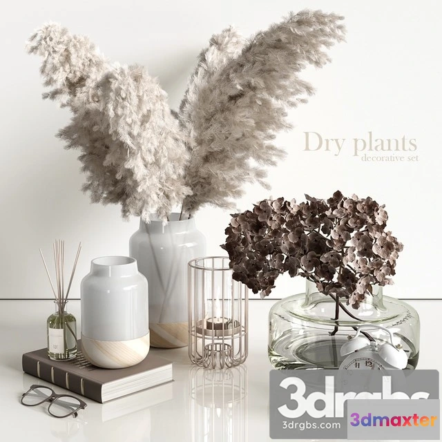924804 - Decorative Set with Dry Plants