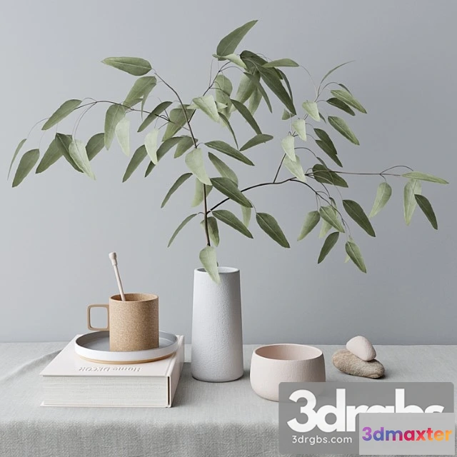 924814 - Decorative set with eucalyptus branch