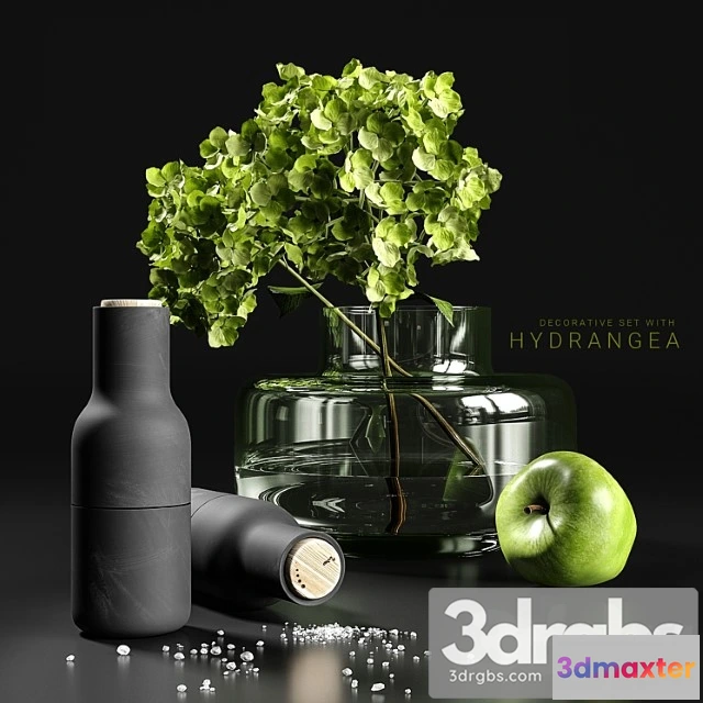 924830 - Decorative set with hydrangea