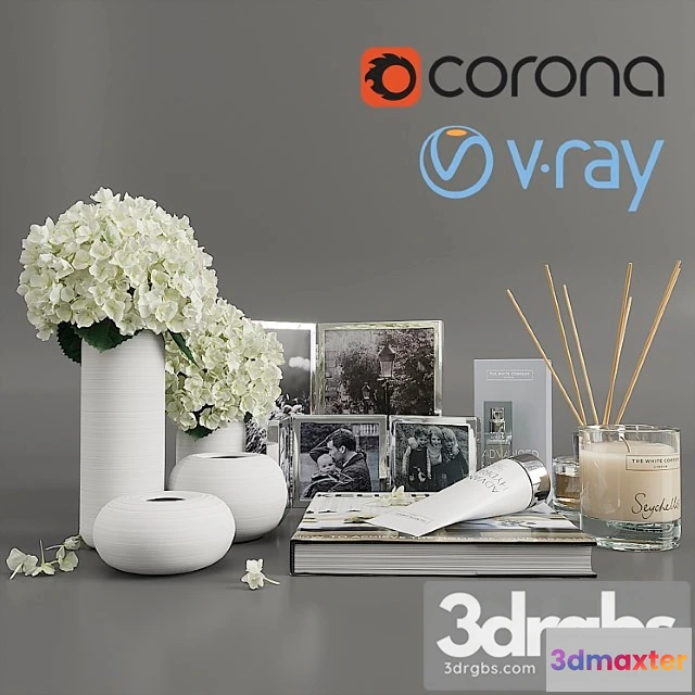 924832 - Decorative set with hydrangea_3