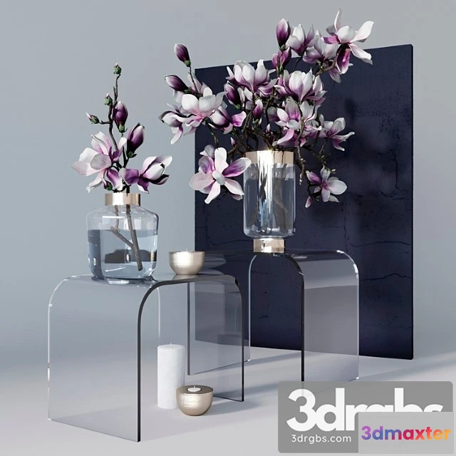 924842 - Decorative set with magnolia