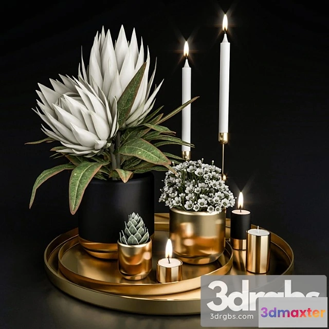 924858 - Decorative set with plants in pots.