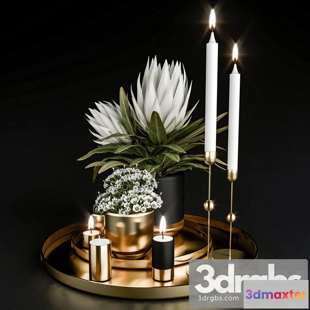 924860 - Decorative Set With Plants in Pots