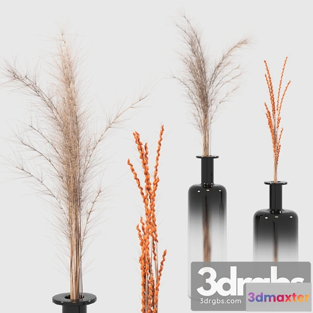 924966 - Decorative set_2_222_3